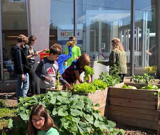 Pollinator playground garden